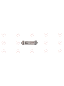 Xarios 12-00716 Fuse 1A (10-Pack)